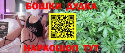 мдпв Рыбинск